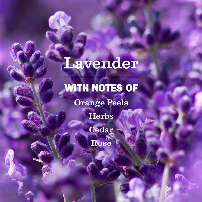 Mrs. Meyer's Lavender Kitchen Basics Set