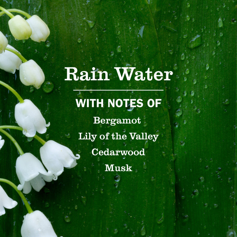 Mrs. Meyer's Rain Water Foaming Hand Soap