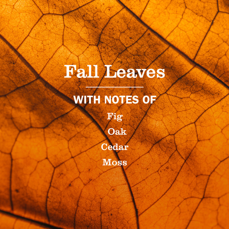 Mrs. Meyer's Fall Leaves Multi-Surface Everyday Cleaner