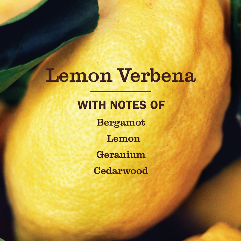 Mrs. Meyer's Lemon Verbena Liquid Hand Soap